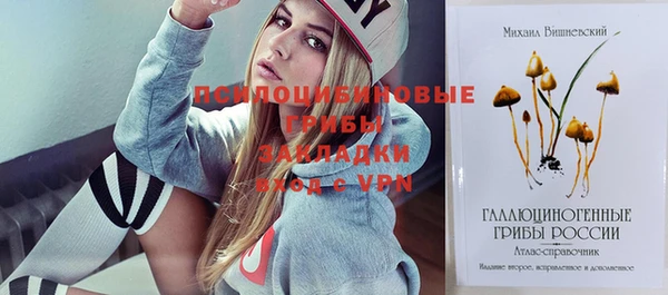 хмурый Киреевск